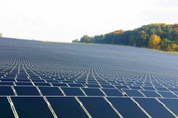 SECI to set up grid connected 100 MW Solar PV projects across Chhattisgarh