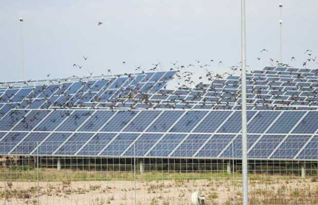 Welspun Renewables’ extends Solar Capacity in Punjab
