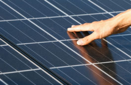 Waaree Supplies 14MW Solar Modules to Amp Energy India