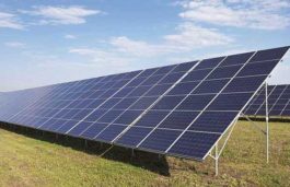 MP Invites Bids for 270 MW Solar Projects Under PM KUSUM