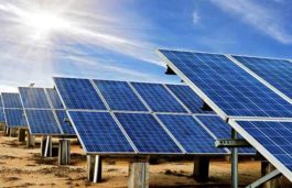 NLC India starts work on 4000 MW solar project in Neyveli