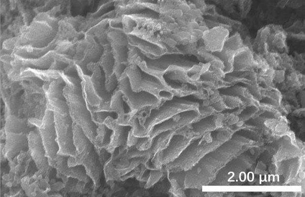 Scientists At MTU Develops Brand-New Way To Synthesize Sodium-Embedded Carbon Nanowalls