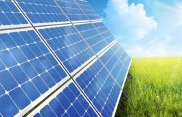 Rays Power Experts Opens Up 3000 MWp Solar Park For Developers In Rajasthan