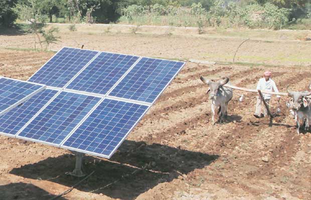 156 Households Connected to Solar Power Grid in Pench Buffer Zone