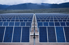 Solar Industry’s Bigwigs Enlisted for REWA Ultra Mega Solar Power Project Bidding