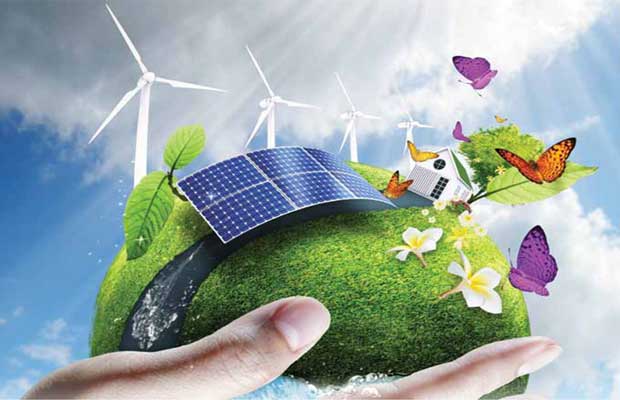 Haryana Renewable Energy Minister Appealed To The People To Adopt Clean Energy To Protect The Environment