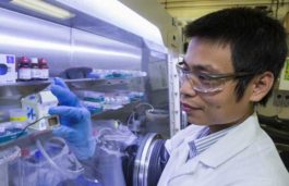 ANU Researchers Hit New Efficiency Record for Low-Cost Solar Cell