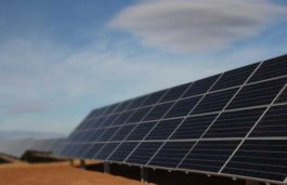 Andhra Pradesh and Rajasthan Leaves Tamil Nadu Behind in Installed Solar Capacity