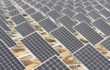 Abu Dhabi Seeks RFP For 1.5 GW Solar Project