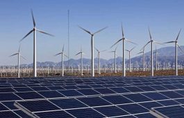 Corporations Bought Record Amount of Clean Energy in 2019: BNEF