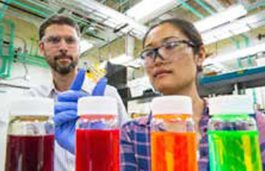 Scientists Elevate Quantum Dot Solar Cell World Record