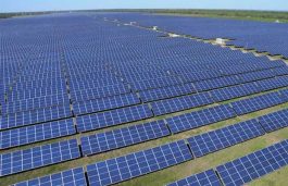 Oz Plans Country’s Largest Solar Farm at 1500 MW