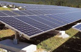 India’s Utility Solar Capacity Grows 72% in 2017-18, says Bridge To India Report