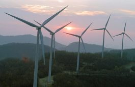 SECI Quashes 2000 MW Wind Power Tender as Infra Blues Repel Bidders