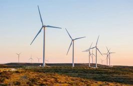 Global Wind Capacity to Grow by 60% Over Next 5 Years