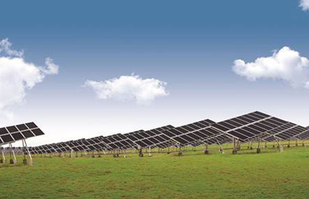 Longi solar modules