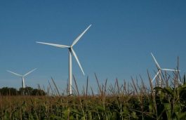 260 MW Wind Farm in Thailand Begins Commercial Operation