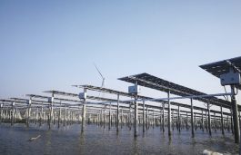 100MW Solar-Fishery Plant Takes the Lead with Huawei 1500V Smart PV Solution