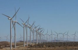 Tamil Nadu Poised to Add 25 GW Wind Capacity by 2030: GWEC