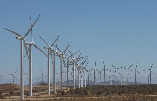 India Wind Energy Capacity