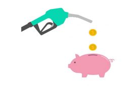 Fuel Subsidies 3-Times Higher Than EV Budget: Report