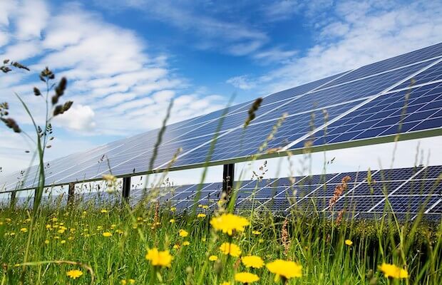 AuREUS Repurposes Food Waste Into Solar Panels