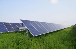 HPGCL Floats Tender For 16 MW Solar Projects in Two Villages
