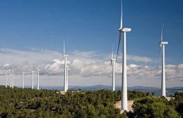 Wind Energy Expansion in Vietnam, 1 GW Expected to be Installed by 2021