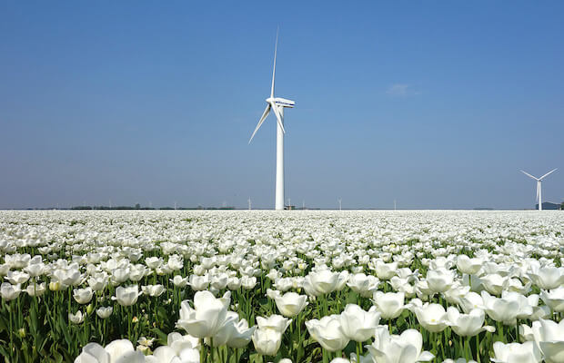 Dutch Plan to Cut Emissions by Half and Raise Renewable Capacity by 2030