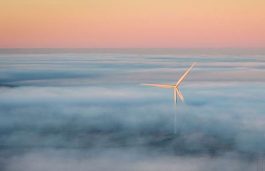 Wind Energy – The Struggling Pillar of the European Green Deal: WindEurope
