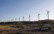 Infinity Power Adds 1 GW to Portfolio with Acquision of African Wind Projects