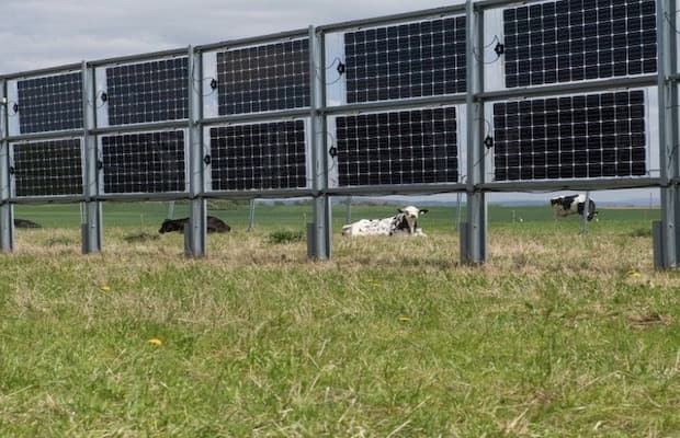 Tenders Issued for Solar Plants for Agro-PV-Concept at NISE Gurugram