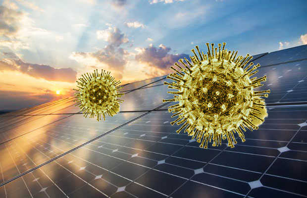Domestic Solar Manufacturing Could Benefit From Pandemic