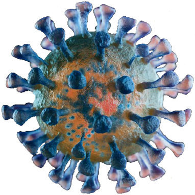 coronavirus