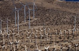 Repsol to Develop 26 new Wind Farms in Spain Totaling 860 MW