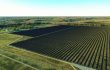 Lightsource bp Secures $460 Million For 368-MW Utility Scale Solar Projects
