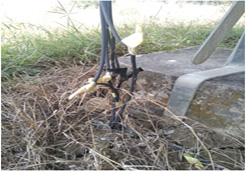 Fig. Dangling cables hiding in the grass