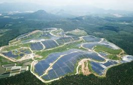 4000 MW Solar Power Park to be Set Up in Tamil Nadu