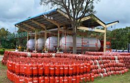 Over 70% Indian Households Use LPG as Primary Cooking Fuel: CEEW