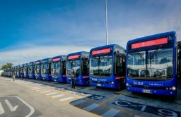 BYD Delivers Huge E-Bus Fleets to Colombia, Japan, and Europe