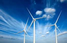 Vector Green and Evergreen Power In MoU For Wind Power Projects