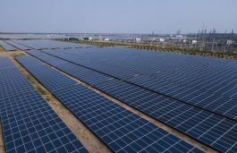 Adani Green Energy to Acquire 75 MW Solar Assets of Sterling and Wilson for Rs 446 Cr