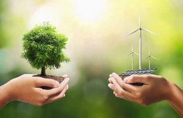Odisha Govt Partners with GAIL to Develop Green Projects