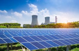 With 224MW Solar Capacity, SCCL Achieves 40% of Its Net Zero Targets