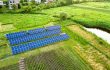 US Firm Uses Solar Energy to Make Sustainable Nitrogen Fertiliser