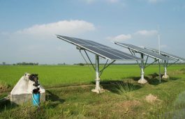 Maharashtra Plans To Use Solar For 50% of Its Agri Power Demand