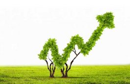 With Green Bonds in Budget’22, RE Financing Grows in India: IEEFA