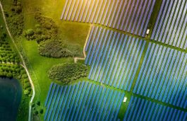 AEP Energy and GEG Signs PPA For 1.65 GW Solar Project