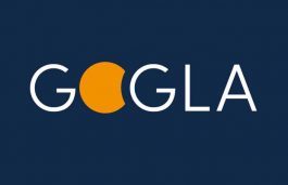 GOGLA Report 2020: ‘Slow, Uneven Recovery of Off-grid Solar Industry’