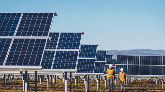 Hive Energy, Two other UK Firms Team Up To Develop 350 MW Solar Power in New Zealand